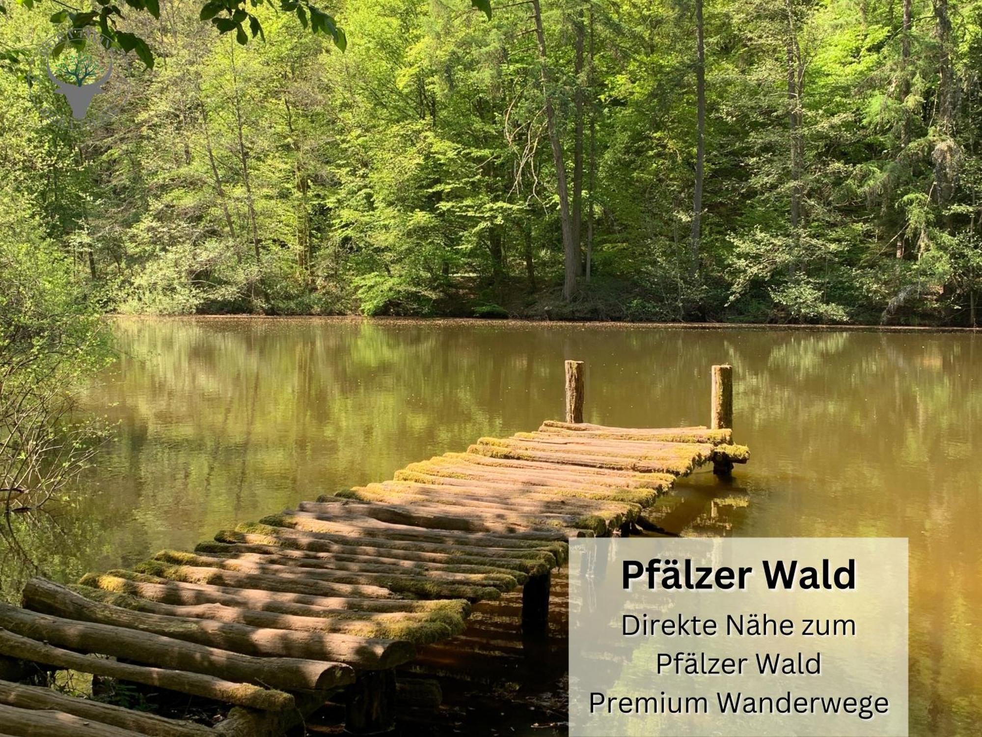 Appartamento Stierpartment Am Pfaelzer Wald Naehe Outlet Center Zweibruecken Pirmasens Esterno foto