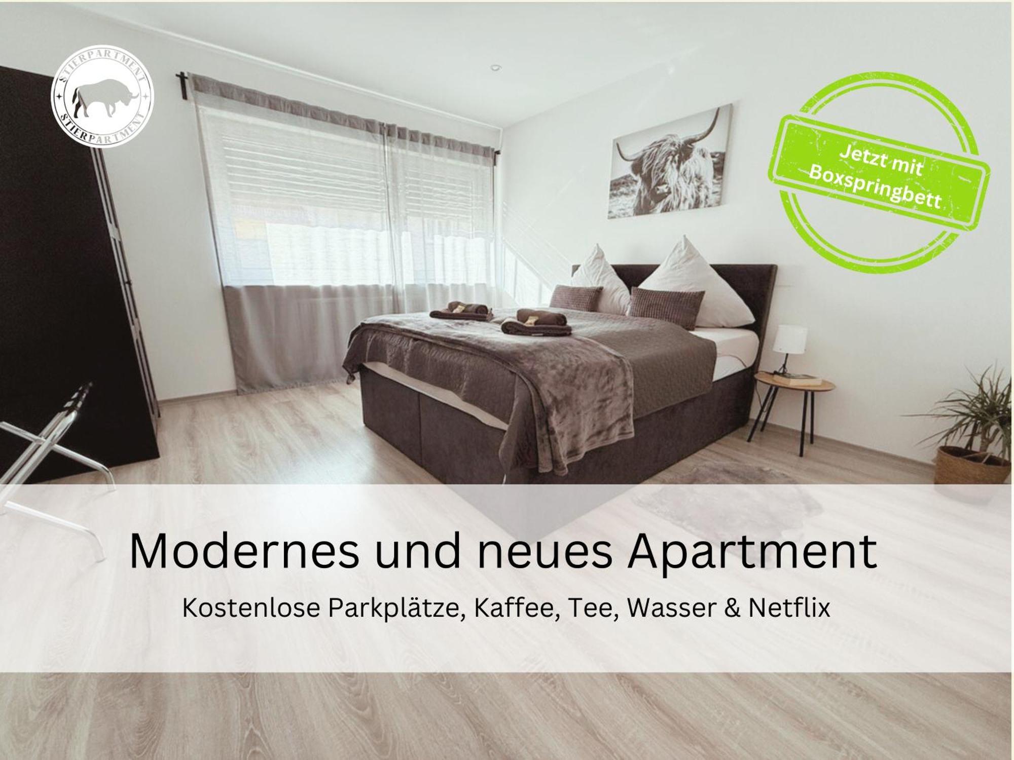 Appartamento Stierpartment Am Pfaelzer Wald Naehe Outlet Center Zweibruecken Pirmasens Esterno foto